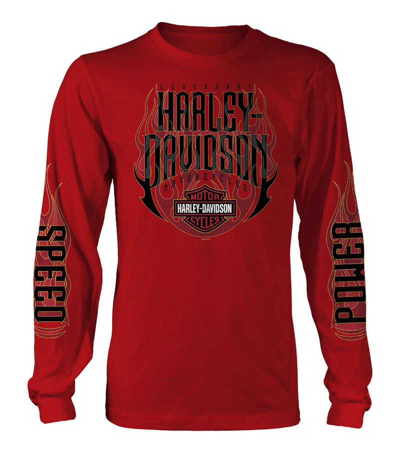 Load image into Gallery viewer, Harley-Davidson Military Hot Ride Aviano Air Base Long Sleeve T-Shirt
