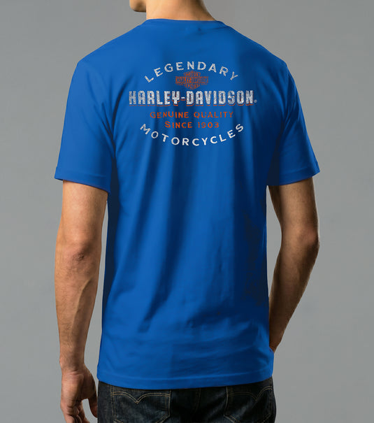 Camp Lemonnier Overseas Tour Men's T-Shirt