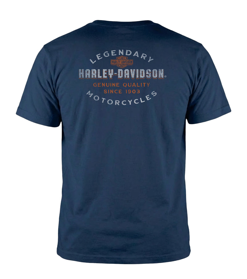 Load image into Gallery viewer, Camp Lemonnier Djibouti Harley-Davidson® Military Overseas Tour Men's T-Shirt Back Graphic

